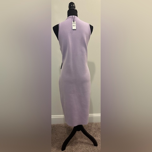 EXPRESS Lilac Body Con Dress - Size XL - Picture 4 of 4